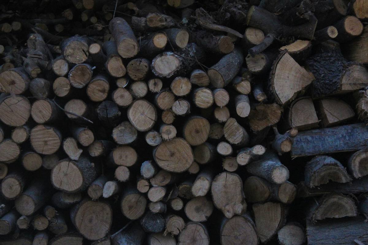 11 Genius Fire Pit Wood Storage Ideas That Keep Your Backyard Stylish & Safe