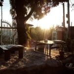 Fire Pit Outdoor Furniture: Your Ultimate Guide to Cozy, Stylish & Safe Backyard Lounging