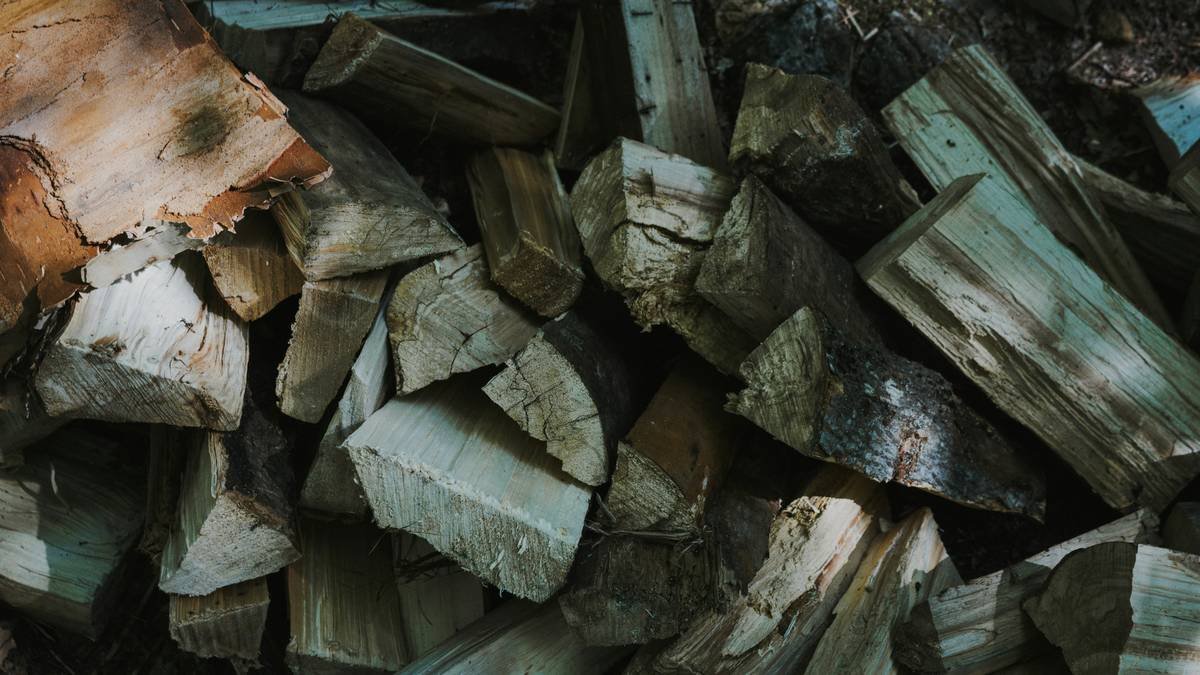 Infographic showing ideal firewood storage setup: elevated base, open sides, covered top, 5 ft from house